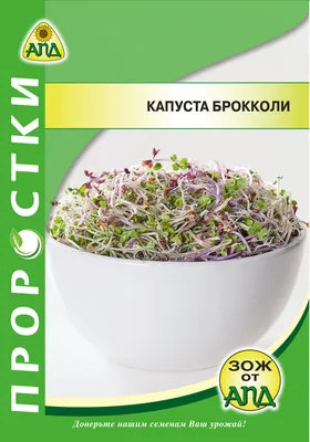 Купить семена капусты брокколи в интернет-магазине \"7 семян\"