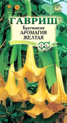 Купить семена Бругмансия Аромагия жёлтая от Гавриш, 4659