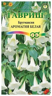 Семена бругмансия Гавриш Бругмансия аромагия белая 95097 1 уп. - купить в  Москве, цены на Мегамаркет