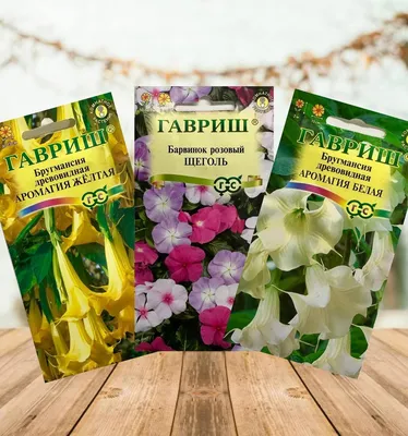 Посадка и уход бругмансии - Agro-Market