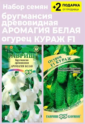 Бругмансия: выращивание в саду, виды и сорта | ВКонтакте