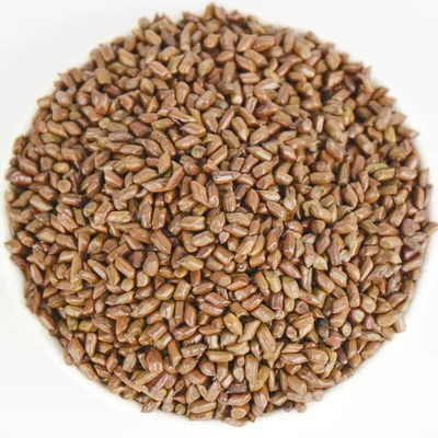 Семена чая с листом, изолированными на белом фоне Стоковое Фото -  изображение насчитывающей семя, питье: 155698466