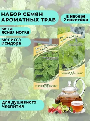 Семена Чай Адыгейский, 3 сем. купить оптом или розницу