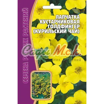 Купить гречишный чай Trawa Сорт Golden семена 100 г, цены на Мегамаркет |  Артикул: 100026443545