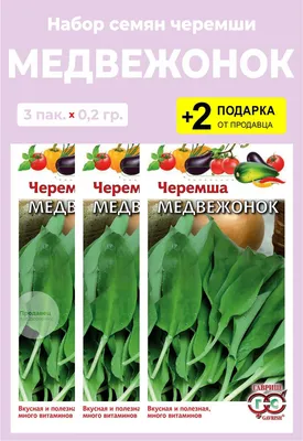 Черемша Проверенные семена Медвежонок_760_3 - купить по выгодным ценам в  интернет-магазине OZON (803365280)