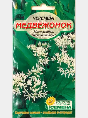 Овощи Черемша лесная - «Почему не всходят покупные семена черемши, и что  надо сделать, чтобы взошли.» | отзывы