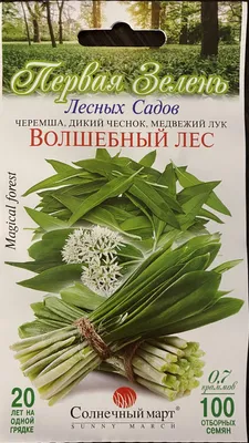 Рост всходов черемши, посеянной на природе собственными семенами. | Игорь  Колпаков | Дзен