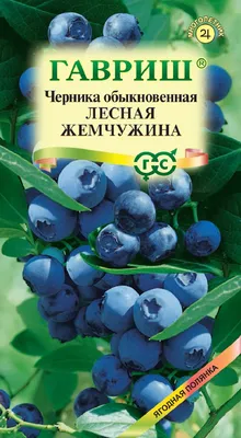 ✓ Семена Черника обыкновенная Лесная жемчужина, 30шт, Гавриш, Ягодная  полянка по цене 66 руб. ◈ Большой выбор ◈ Купить по всей России ✓  Интернет-магазин Гавриш ☎ 8-495-902-77-18