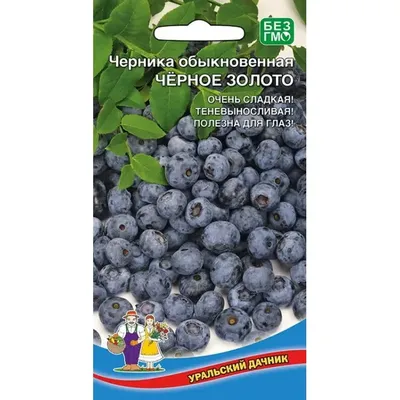 Семена Черника Черное золото (а/ф Уральский Дачник) купить за 35 р. в  садовом центре АСТ Медовое