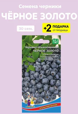 Семена черника, обыкновенная, Лесная жемчужина, 30 шт, Гавриш, Ягодная  полянка 10007513 купить по низким ценам в интернет-магазине Uzum