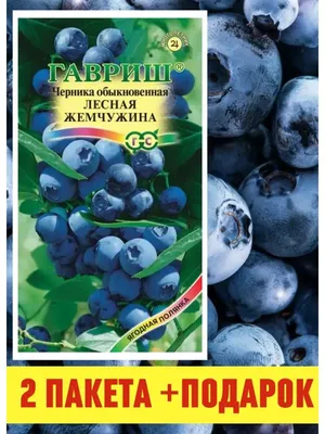 Черника семена многолетников Лесная Жемчужина набор 2 шт. Садовод 65717215  купить за 232 ₽ в интернет-магазине Wildberries