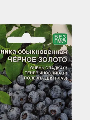 Семена черники обыкновенной \"Черное Золото\" купить по цене 57 ₽ в  интернет-магазине KazanExpress