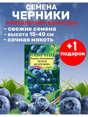 Семена ягод Черника многолетняя Гавриш 94922663 купить за 171 ₽ в  интернет-магазине Wildberries