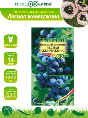 Йогурт Danone Активиа черника, 5 злаков и льняные семена - «Ой, хорошо  чернички покушать зимой! Польза невероятная!» | отзывы