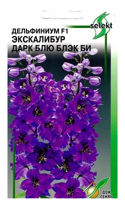 Дельфиниум Астолат Гавриш - купить семена в интернет-магазине