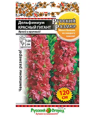 Дельфиниум многолетний: выращивание, посадка и уход | Антонов сад - дача и  огород | Дзен