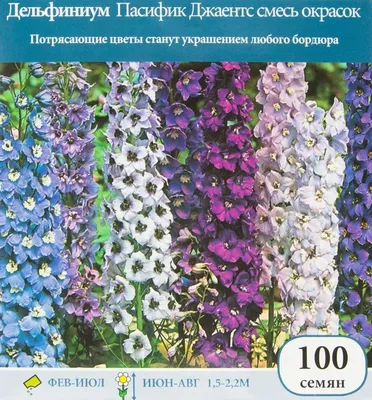 Семена Дельфиниум Пасифик Джаентс, смесь окрасок: описание сорта, фото -  купить с доставкой или почтой России