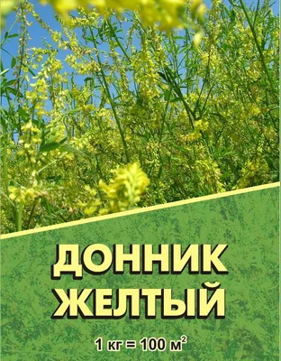 Семена Зеленый Уголок Донник белый двухлетний 1 кг 4660001293434 по цене  428 ₽/шт. купить в Кирове в интернет-магазине Леруа Мерлен