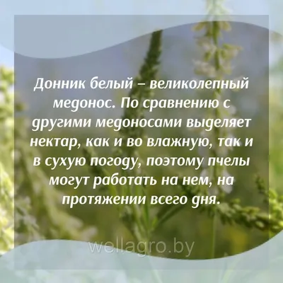 Очиститель-скарификатор семян донника от шелухи #донник#скарификатор#скарификация#очиститель  - YouTube