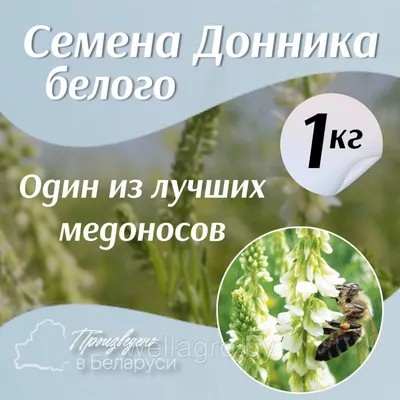 Донник семена 1 кг | Корм 63