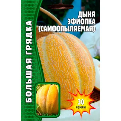 Семена дыни торпеда (поиск) - AGRO-IMPERIAL, ТОО Кольди (Казахстан) -  купить, цена, фото