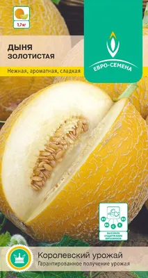Семена дыни для открытого грунта – купить оптом в Москве: описание,  характеристики, фото и отзывы | Цены от производителя Гриномика