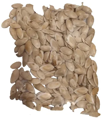 Семена дыни Чудо-Юдо сладкая Агроуспех 10 г - купить в Москве, цены на  Мегамаркет
