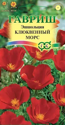 Семена цветов эшшольция Клюквенный морс 0,2г Гавриш оптом - купить с  доставкой по Москве и России, цена