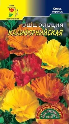 Семена эшшольции Балерина смесь 0,2 г купить в Украине - фото, отзывы,  описание ᐉ Agriks.com.uа