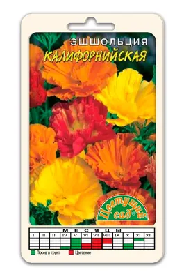 Эшшольции Цветущий сад ЦС Эшшольция КАЛИФОРНИЙСКАЯ - купить по выгодным  ценам в интернет-магазине OZON (502737144)