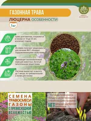 Продажа - Продаю семена эспарцета