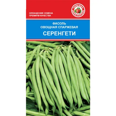 Семена фасоли белой жемчужной Зенит - Цена: €1.25