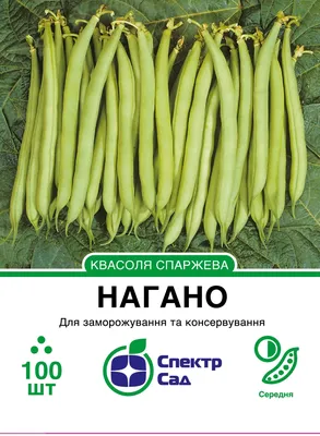 Семена фасоли, ГАВРИШ, Нота 10 шт — купить в Брянске по цене 38 руб за шт  на СтройПортал