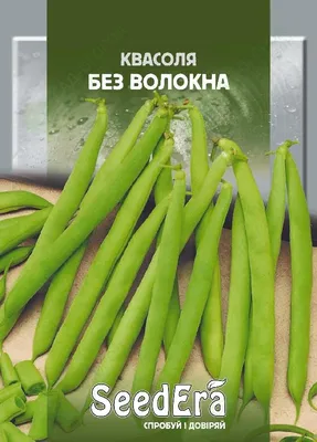 Семена фасоли овощной Галепка, 25 шт/уп, Johnsons - купить в Москве, цены  на Мегамаркет