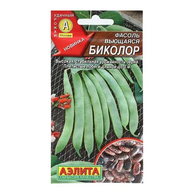 Семена Фасоли ГАВРИШ Октава 5 г — цена в Нижнекамске, купить в  интернет-магазине, характеристики и отзывы, фото