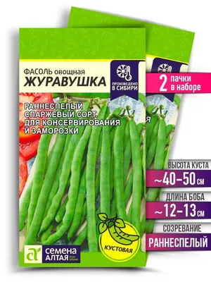Фасоль Сибирские семена MODEL_22750cea20 - купить по выгодным ценам в  интернет-магазине OZON (1108177403)