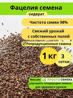 Семена Фацелии - Сидераты - купить у производителя Мульча.рф