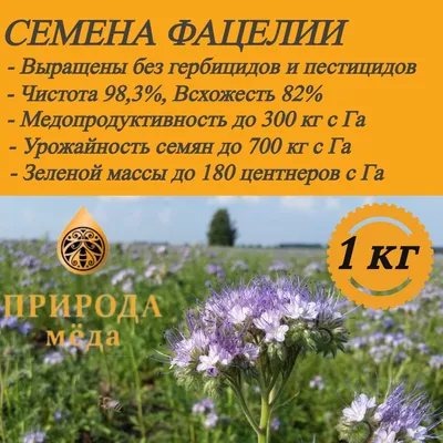 Семена фацелии 1 кг Просто семена 120455553 купить за 268 ₽ в  интернет-магазине Wildberries