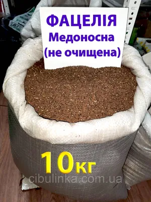 1 кг. Фацелия - семена (лат. Phacelia) купить за 180 руб.