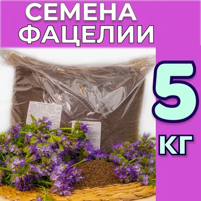 Семена фацелии, 1 кг - купить с доставкой по выгодным ценам в  интернет-магазине OZON (533486182)