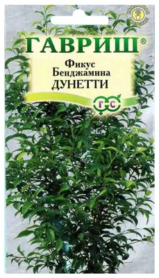 Семена фикус Гавриш Бенджамина Дунетти 86739 1 уп. - отзывы покупателей на  Мегамаркет