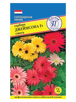 Престиж семена Гербера Джеймсона F1,Смесь - купить по выгодным ценам в  интернет-магазине OZON (295814413)
