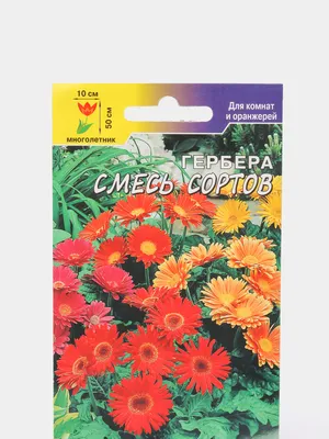 Гербера горшечная Color Bloom Mix 3 шт семян