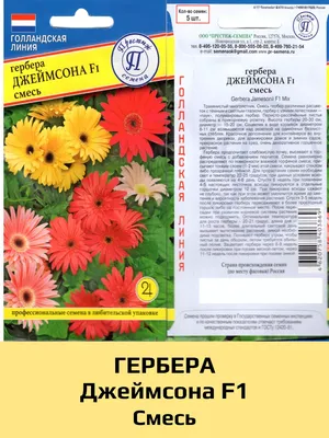 Гербера мини Фестиваль красная, семена – купить в питомнике \"КСП\" с  доставкой по России