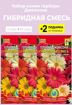 Гербера Проверенные семена Джемсона - купить по выгодным ценам в  интернет-магазине OZON (376241324)