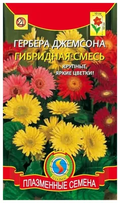 Гербера - «Инстаграмный цветок. ?️ Попытка вырастить из семян ??» | отзывы