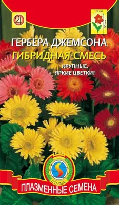 Семена цветов / Гербера Джемсона «Гибрид смесь окрасок» ПОИСК 67240119  купить в интернет-магазине Wildberries