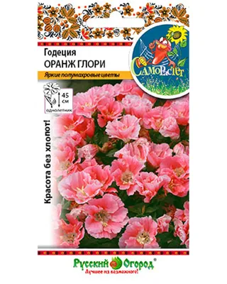Семена годеция Русский огород Оранж глори 702598 1 уп. - отзывы покупателей  на Мегамаркет