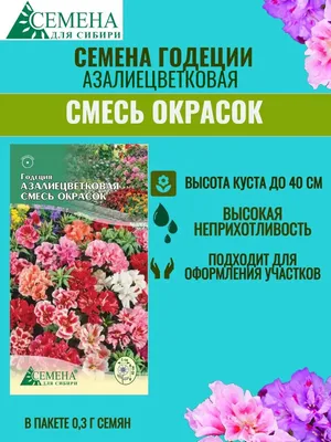 ✓ Семена Годеция Райский сад, смесь, 0,05г, Удачные семена по цене 14,40  руб. ◈ Большой выбор ◈ Купить по всей России ✓ Интернет-магазин Гавриш ☎  8-495-902-77-18