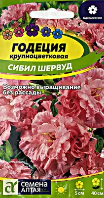 Купить семена годеции с доставкой курьером и почтой в интернет-магазине  Semena.ru